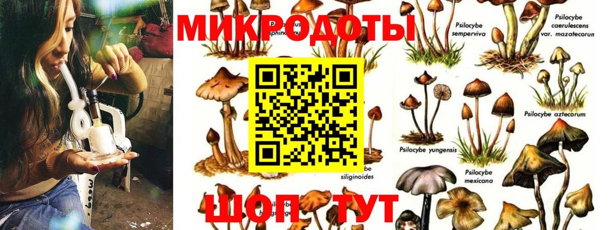Альфа ПВП Нягань