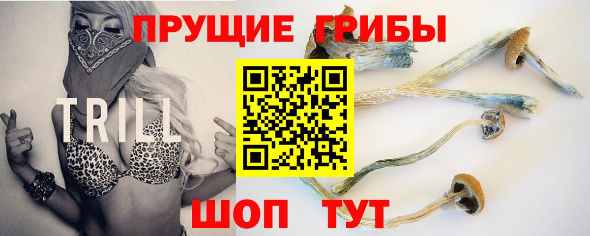 Галлюциногенные грибы MAGIC MUSHROOMS Нягань