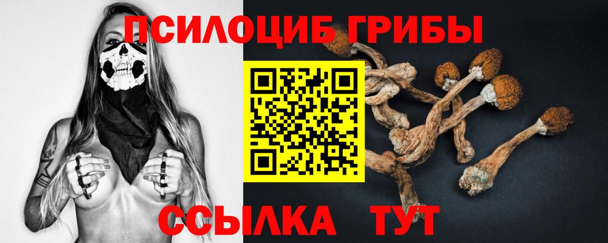 Нягань  как найти закладки  Вход с VPN  Галлюциногенные грибы мухоморы 